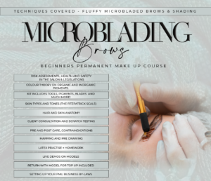Microblading Brows (Hairstroke)